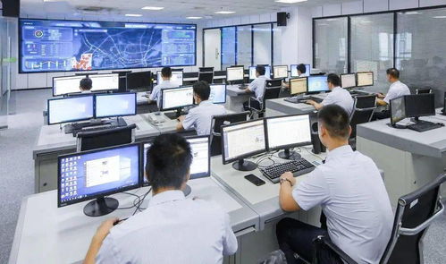 科技城東渚為民服務(wù)中心2.0版正式上線 開(kāi)啟信息技術(shù)咨詢(xún)服務(wù)新篇章