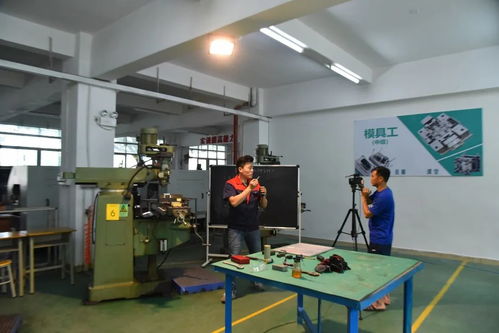 創(chuàng)新培訓(xùn)服務(wù)企業(yè) 寶山技工全面啟動(dòng)企業(yè)適崗培訓(xùn)工作，聚焦信息技術(shù)咨詢(xún)服務(wù)